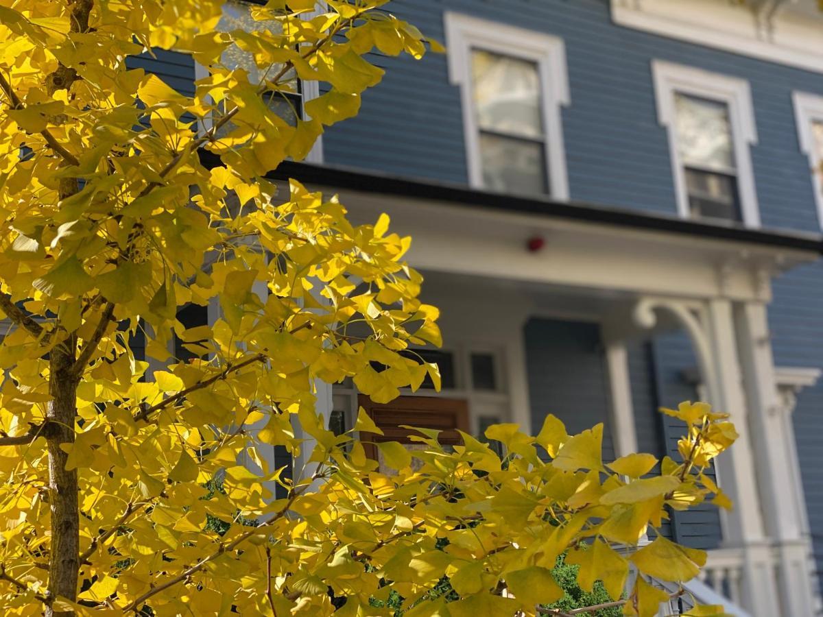 Ginkgo House On Harvard Cambridge Buitenkant foto